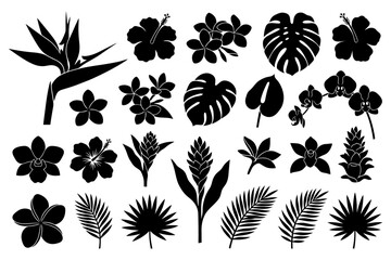 Obraz premium Collection of tropical plant and flower silhouettes with leaves.
