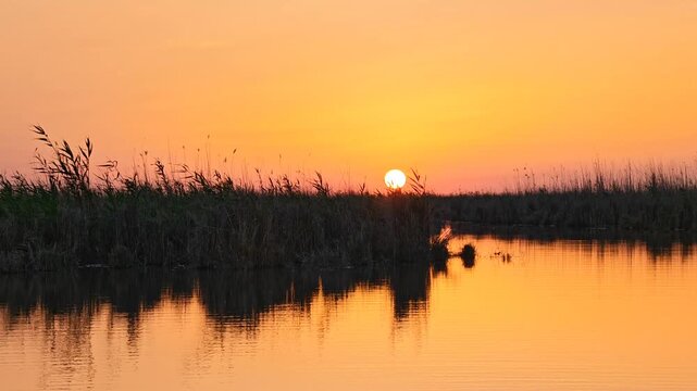 Golden Sunset Reflecting Over the Tranquil Mesopotamian Marshes of Iraq