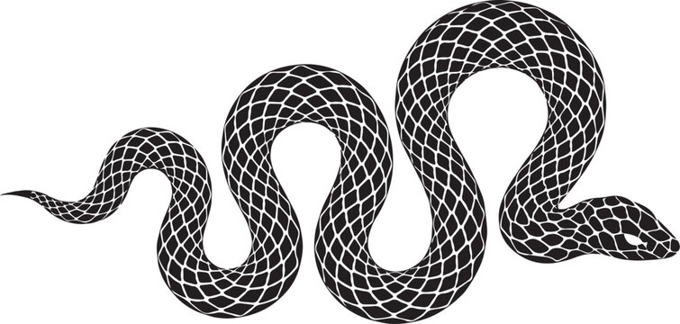 Black snake silhouette with white scale pattern, slithering serpent vector illustration, reptile graphic element for tattoo design or logo