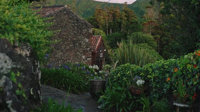Cinematic View of a Rustic Stone Cottage and Cobblestone Path Surrounded by Lush Flowers and Greenery, Flores Island, Azores