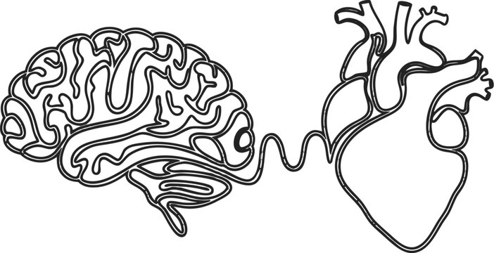 One line drawing of half of a human brain and a human heart. a minimalist continuous one-line vector illustration showing a human brain and anatomical heart combined into a single flowing line drawing