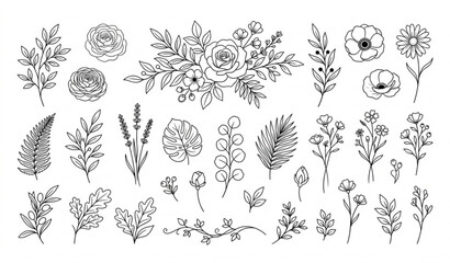 Botanical floral line drawing vector collection for wedding logo and greeting design © MdMintu