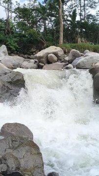Real-time Footage of Cascading Mountain Stream with White Water Foam