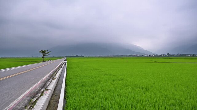 A scenic view of lush green rice paddies along the famous Brown Boulevard in Chishang, Taitung, Taiwan, under a cloudy sky at dusk.