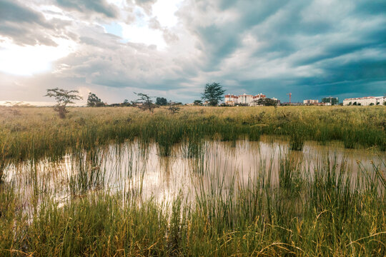 Dramatic Storm Clouds Over Syokimau Wetlands with Apartment Buildings in the background, Kenya
