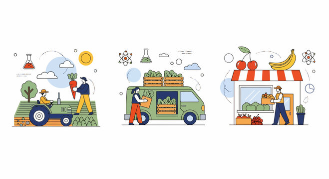 Farm food path from field to van and shop with fresh crop and fast sale