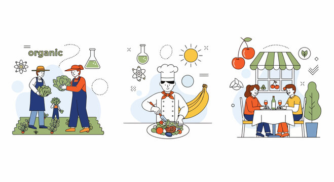 Flat vector illustration of organic farming process harvesting fresh vegetables chef cooking and couple eating