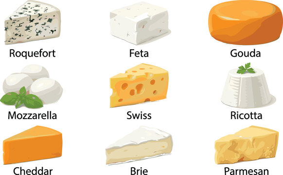 Variety of Cheese Types Vector Illustration Set Including Roquefort, Feta, Gouda, Mozzarella, Swiss, Ricotta, Cheddar, Brie, and Parmesan