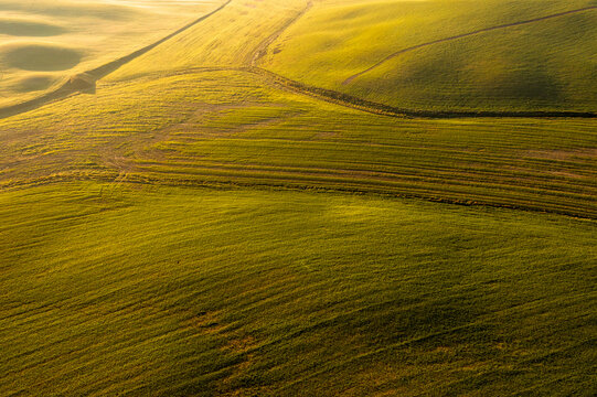 Aerial view of vibrant green rolling agricultural fields bathed in golden light, showcasing a serene tourism destination in Orcia valley, Pienza, Tuscany, Italy.