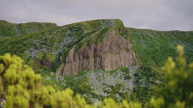 Cinematic View of Rocha dos Bord es Basalt Columns Surrounded by Lush Greenery and Wildflowers, Flores Island, Azores