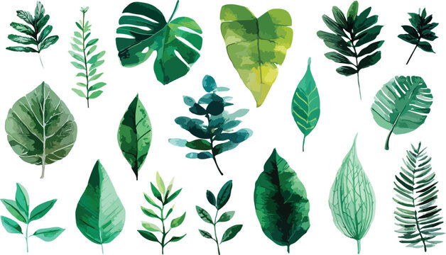 Green leaves collection vector illustration of natural foliage floral pattern set