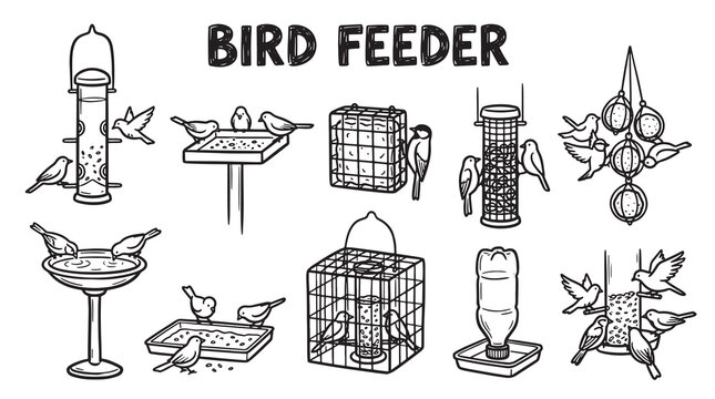 Bird feeder types collection including various designs with wild birds eating seeds in line art.