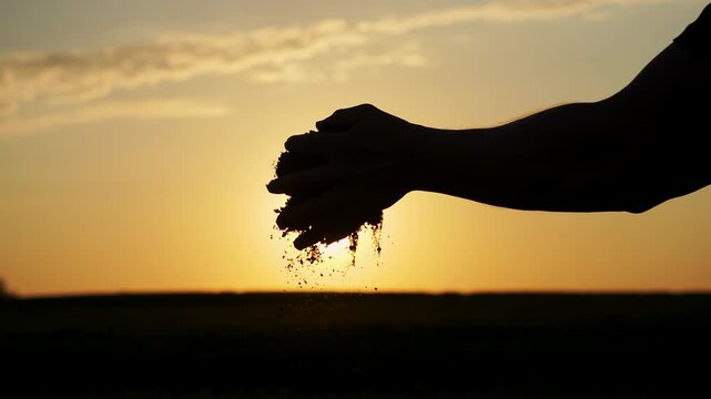 Close up of hand holding and pouring fertile soil at sunset in agricultural field during golden hour outdoors.