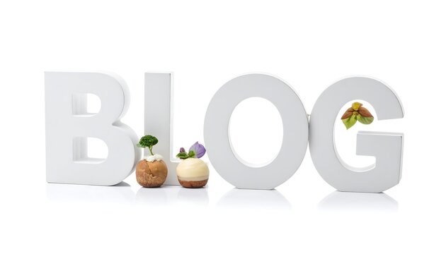 Large white block letters spell "BLOG." "O" is accented by a floral display. Small culinary items act as artistic details