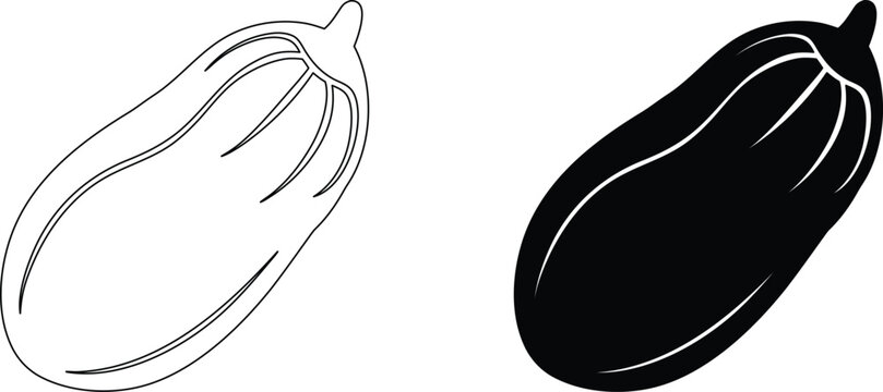 Zucchini vegetable outline and black silhouette drawing isolated.