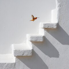 Fototapeta premium Hummingbird Flying Up White Stairs, Progress And Aspiration