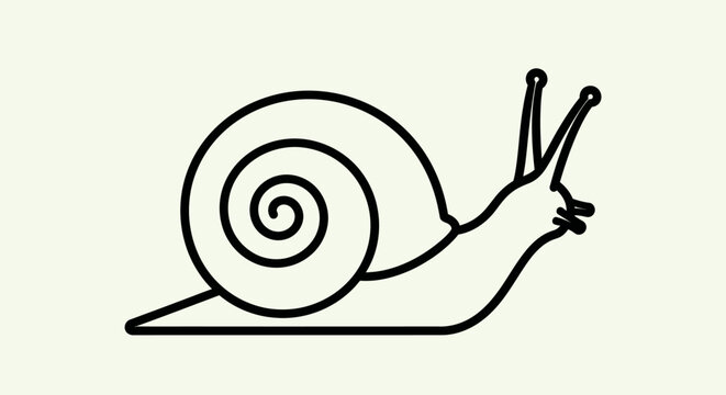 A simple black outline drawing of a snail with a spiral shell and eyestalks.