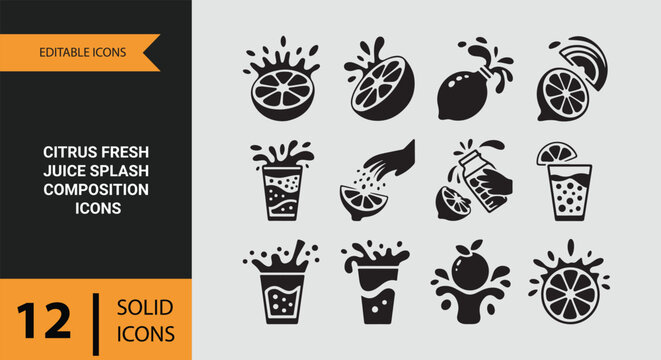 Citrus Fresh Juice Splash Composition Solid Icons for Summer Beverage Art