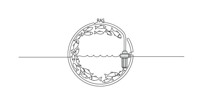 Diagram of a recirculating aquaculture system with fish and filtration equipment