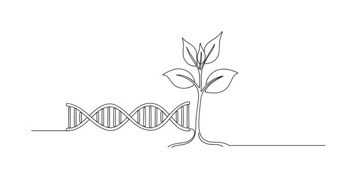 DNA helix and growing plant symbolizing genetic engineering in agriculture and biotechnology