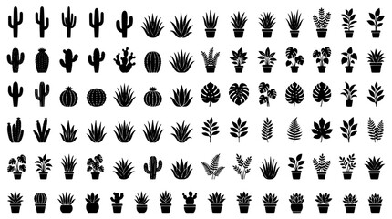 Fototapeta premium Plants illustration set with various cacti and succulents in pots featuring botanical, nature, greenery with plant icons and plant drawings elements