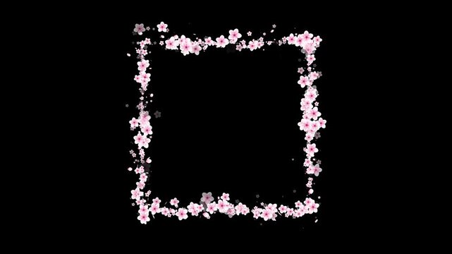 Sakura Cherry Blossom Flower Rectangle Frame Animation with Falling Cherry Petals. Romantic Cherry Blossom Rectangle Border for Spring Season Design.