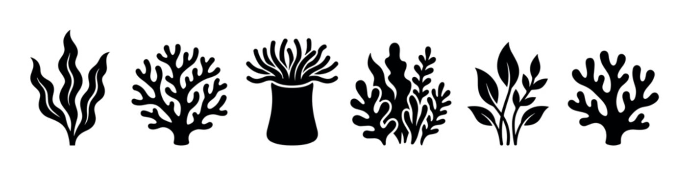 Collection of black silhouette icons featuring various underwater plants, seaweed, coral, and sea anemone in a minimalist graphic style for marine and ocean life concepts