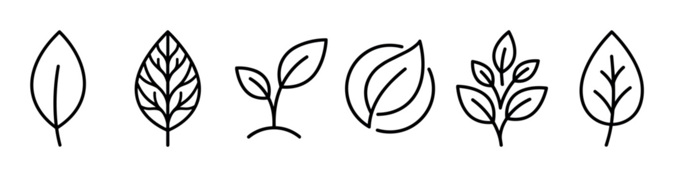 Six different black leaf and plant icons in a minimalist line art style for ecology, nature, and organic concepts, presented in a clean, modern vector illustration set