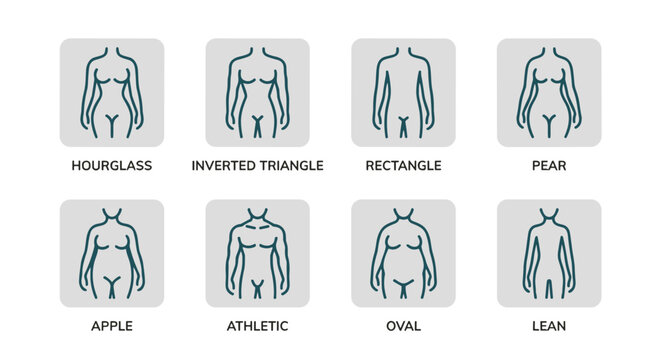 Human Body Shapes Types Icons