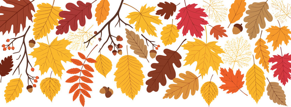Symmetrical Autumn Leaves Branch for Decorative Border and Frame