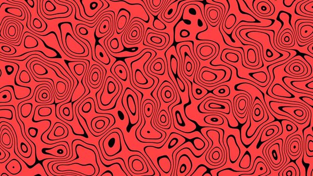 Animated red and black topographic line pattern loop background. Topographic map animation. Abstract minimalist contour lines seamless loop. Abstract red topographic contour map concept.
