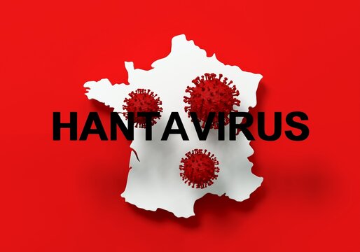 texte HANTAVIRUS et virus plac&eacute;s devant une carte de France sur fond rouge