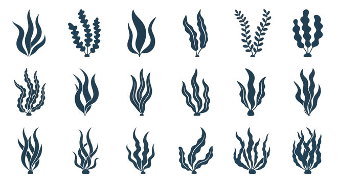 Collection of various flame designs.