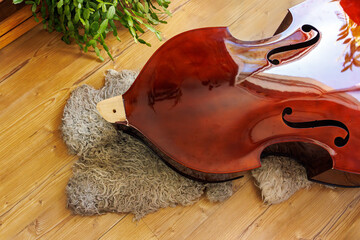 broken contrabass neck joint lying on wooden floor with wool fleece rug. Top view, copy space  © Dina