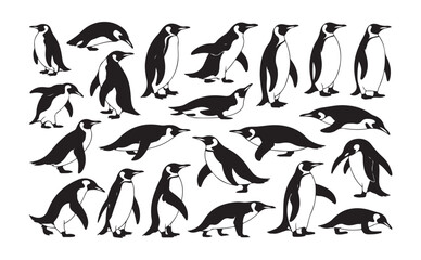 Obraz premium Collection of penguin illustrations showing different poses and styles for educational or decorative purposes.