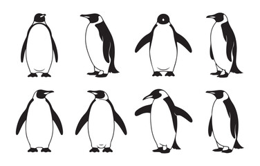 Fototapeta premium Diverse group of emperor penguins in various poses on white background vector illustration.