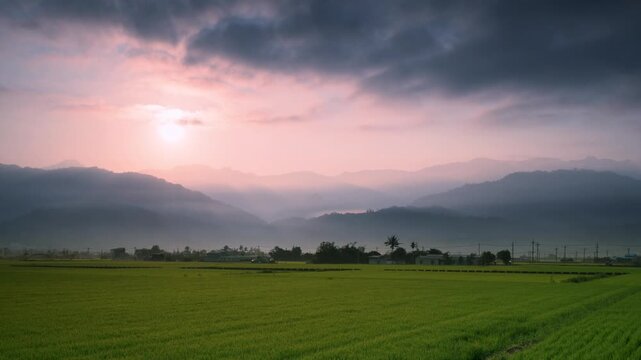A serene morning view of lush green rice fields in Yuli, Hualien, Taiwan, with the rising sun casting a soft glow over the misty mountain range.