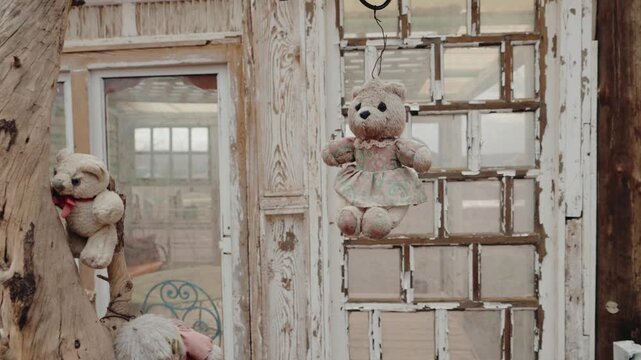 Two faded teddy bears hang in a weathered, whitewashed wooden structure with glass windows and peeling paint. One bear, wearing a dress, dangles from a wire. The other sits on a rustic branch,
