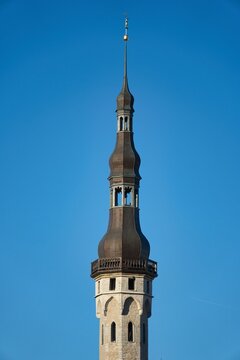 Historic Tallinn Town Hall Spire and Old Thomas Weather Vane