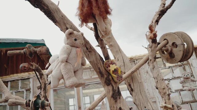 A weathered tree adorned with discarded toys and dolls creates a haunting scene. This evokes feelings of unease and mystery, reminiscent of a forgotten playground or a post-apocalyptic setting.
