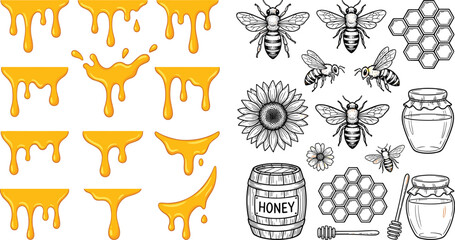 Honey Bee and Honey Drip Illustration Set Featuring Bees, Honeycomb, and Sunflower for Natural Product Designs © MdTobarak
