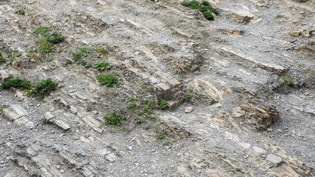 Rocky slope with textured sedimentary layers, patches of sparse green vegetation and weathered stone showing erosion patterns and rugged, arid terrain detail