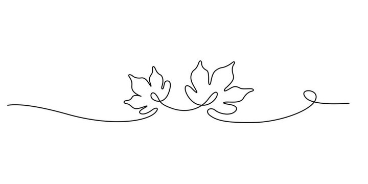 One continuous line drawing animation of falling tropic spring maple leaf. Minimal botany natural eco concept. Single line draw design animation video,fall leaves animation continuous one line drawing