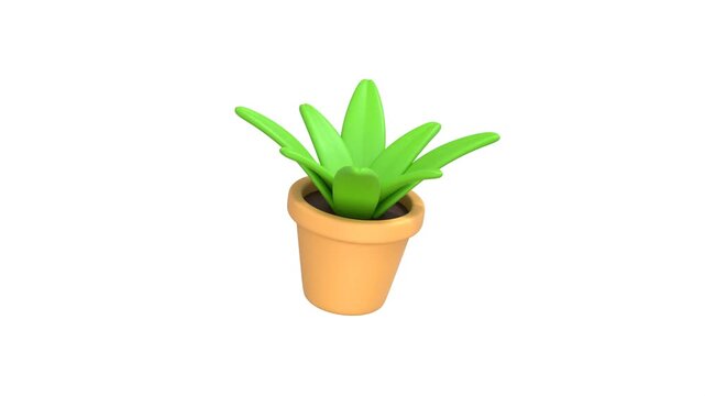 Plant Pot icon 3d rendering animation on 4k.	