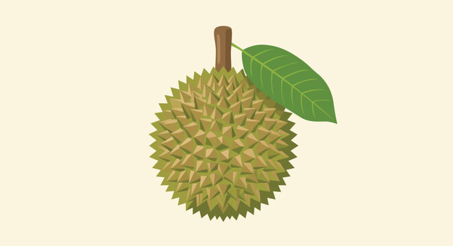 Whole green durian fruit with sharp thorns and a green leaf isolated on a light cream background.