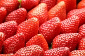 Fototapeta na wymiar Many fresh ripe strawberries as background, closeup