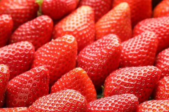 Many fresh ripe strawberries as background, closeup