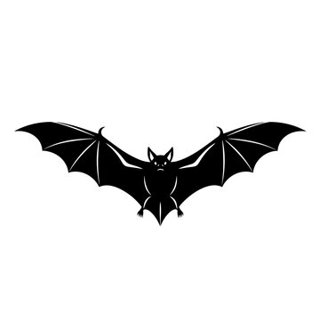 Black Silhouette of a Bat Isolated on White