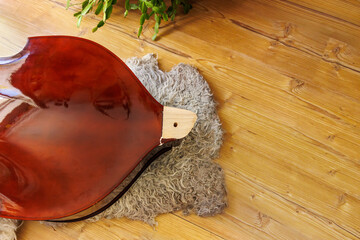 Broken contrabass neck joint area on wooden floor with wool fleece rug close up with copy space  © Dina