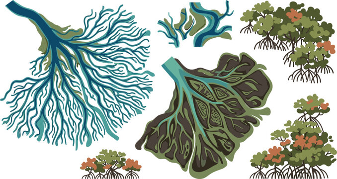 Mangrove ecosystem vector set featuring river deltas, aerial views of marshlands, and mangrove trees with prop roots.